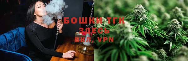 гашик Белокуриха
