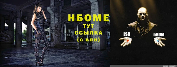гашик Белокуриха