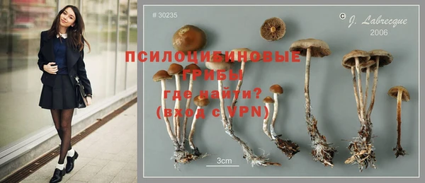 дурь Богородицк