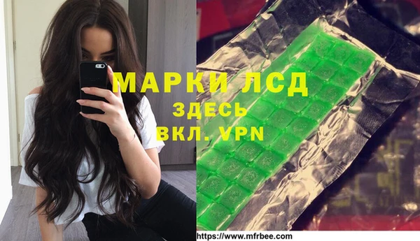 гашик Белокуриха