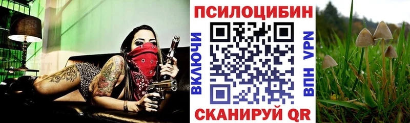 Галлюциногенные грибы прущие грибы  Мглин 